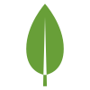 MongoDB
